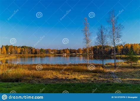 Nature Background with Lake and Autumn Trees, Blue Sky, Peaceful Fall ...