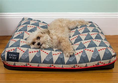 The Best Waterproof Dog Bed in 2024 (Reviews & Buying Guide)