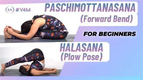 Paschimottanasana and Halasana (Plow Pose) For Beginners - YouTube