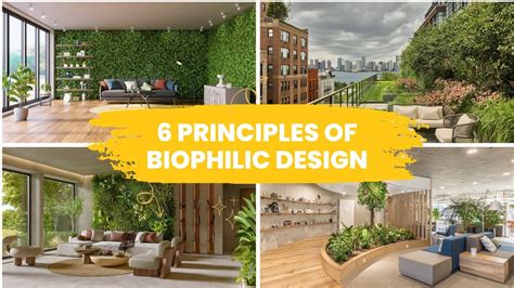 Six Principles Of Biophilic Design Biophilic Design Elements | Hot Sex ...