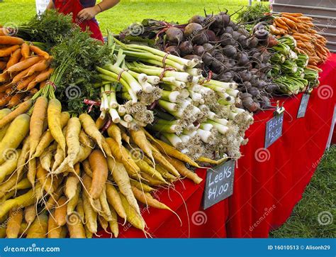 Display of Vegetables at Farmers Market Stock Image - Image of variety ...