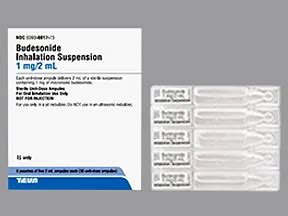 Budesonide Inhalation: Uses, Side Effects, Interactions, Pictures, Warnings & Dosing - WebMD