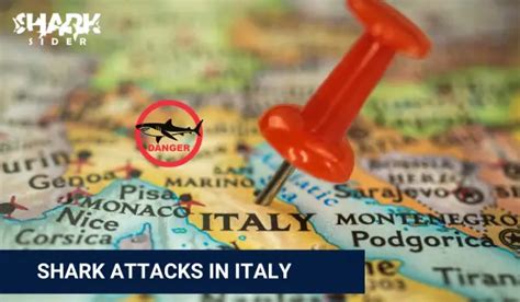 Shark Attacks in Italy [Updated September 2023]
