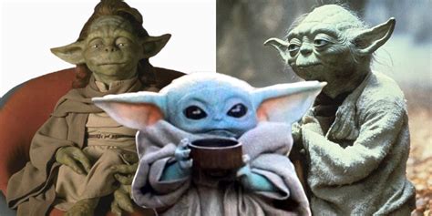 Star Wars Theory: Baby Yoda Is The Last Of His Species