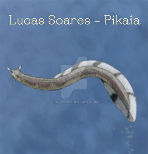 Pikaia gracilens by LGJW on DeviantArt