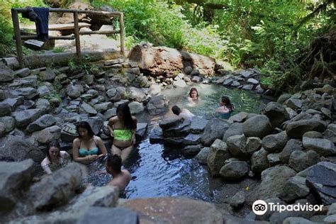 Cougar (Terwilliger) Hot Springs travel guidebook –must visit attractions in Lane County ...