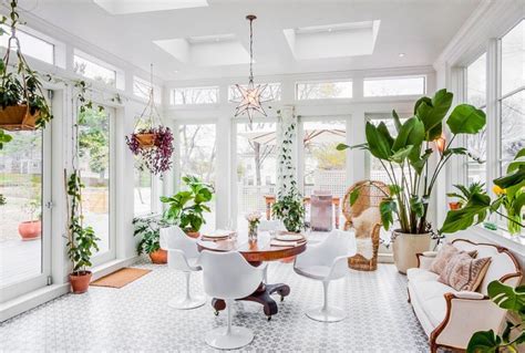 Sunroom Indoor Plant Ideas: 15 Trendy and Stylish Inspirations