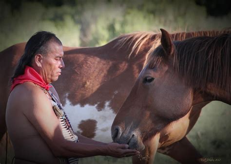 from saving america's mustangs facebook | Beautiful horses, Horses, Wild mustangs