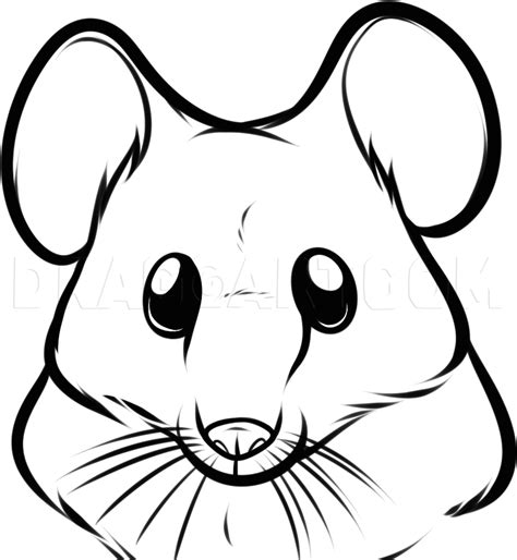 How To Draw A Mouse Face, Step by Step, Drawing Guide, by Dawn ...