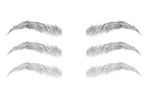 Types Of Eyebrow Shapes