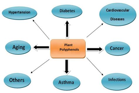 Benefits of polyphenols. | Download Scientific Diagram