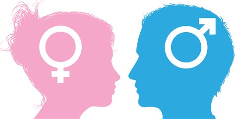 Male Vs Female – Telegraph