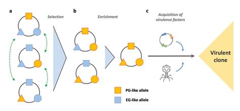 The origins of a pathogen | Research Communities by Springer Nature