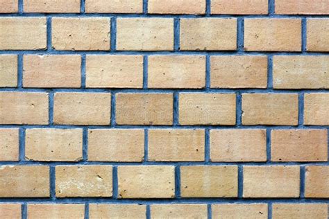 Tan bricks in a wall stock photo. Image of wall, blue - 11559224