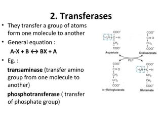 Classification of enzymes | PPT