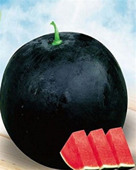 Seeds Market Rare Black round sweet seedless watermelon seeds, the ...