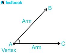 45 Degree Angle: Step to Construct 45 Degree Angle with Examples