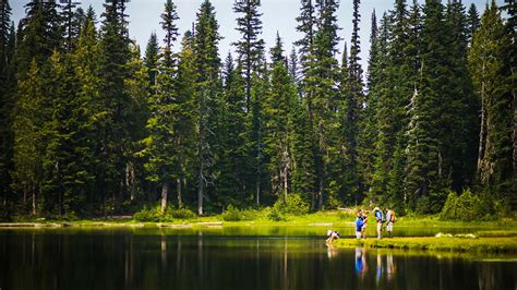 Top 3 Hiking Trails With Wildflowers at Crystal Mountain - Crystal Mountain