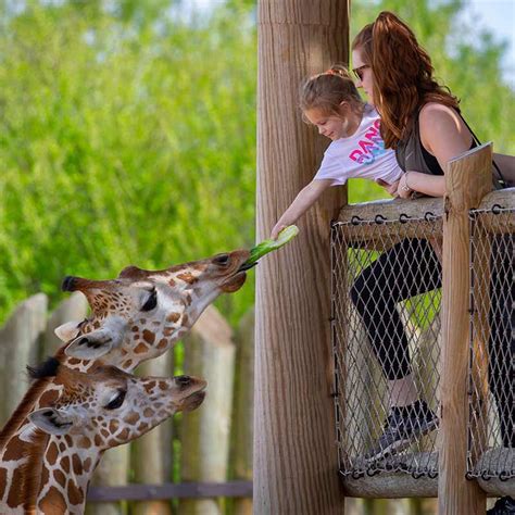 Animal Encounters – CaldwellZoo