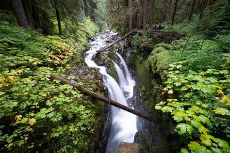 Olympic-National-Park-Washington-October-2018-68 - We Love to Explore