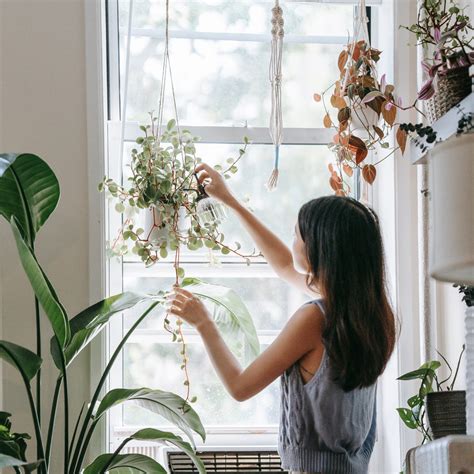 Best Artificial Ferns Hanging Baskets Guideline | Ferrisland