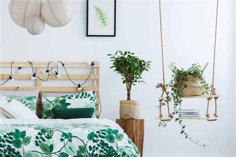 15 Best Hanging Plants For Bedroom