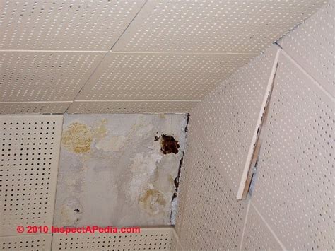 12x12 Ceiling Tiles Asbestos ~ Wallpaper Wiggins