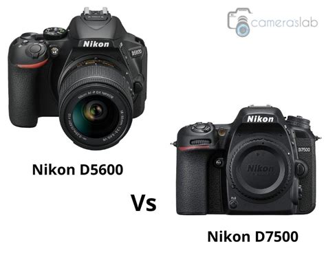 Nikon D5600 vs D7500 - Which Is the Best & Why?