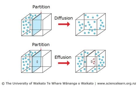 Gaseous diffusion and effusion — Science Learning Hub