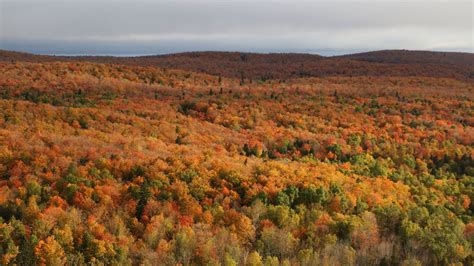 Photos: Fall colors on Minnesota's North Shore | MPR News