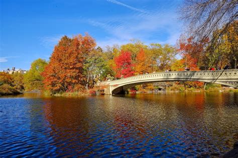 Thoughts From My Camera: Central Park Fall Colors