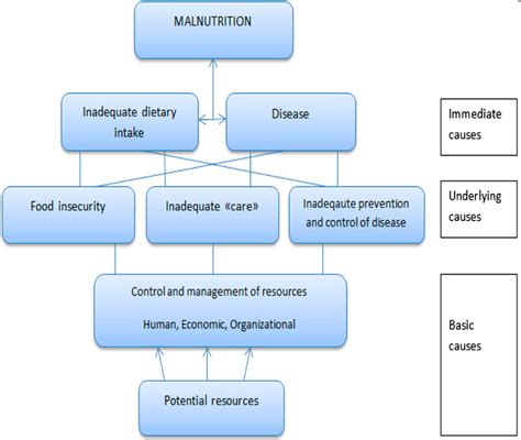 Unicef Model Malnutrition Conceptual Frameworks Conceptual Frameworks | My XXX Hot Girl