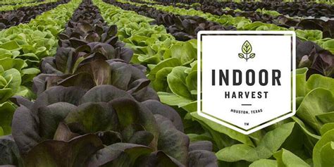 Indoor Harvest – Design Build For The Vertical Farming Industry