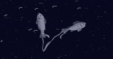 Pisces Constellation Guide for Backyard Astronomers