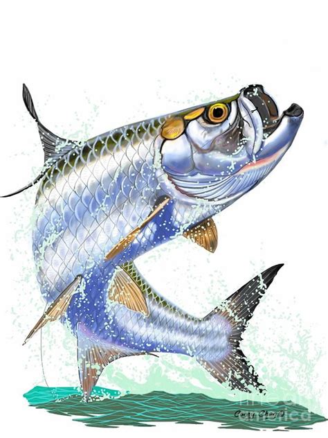 Tarpon Digital Digital Art by Carey Chen | Fish drawings, Fish art ...