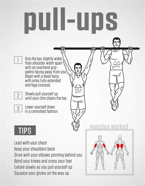 This Pull-Up Workout Guide Will Help You Rise Above All - Fitneass