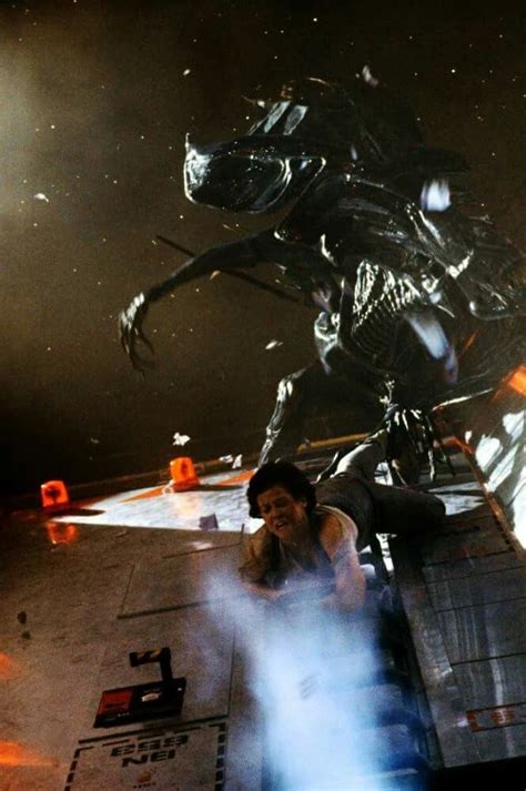 Xenomorph Queen vs Ripley | Alien, Aliens movie, Queen pictures