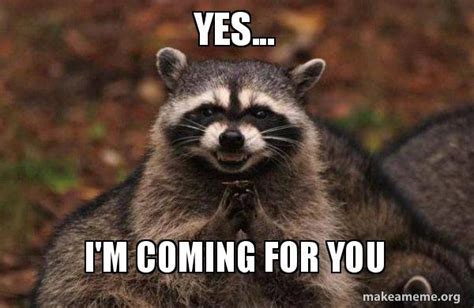 yes... i'm coming for you - Evil Plotting Raccoon Meme Generator