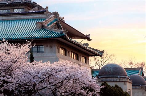 Beautiful Campus, Beautiful Minds: Celebrating Wuhan University's Past ...