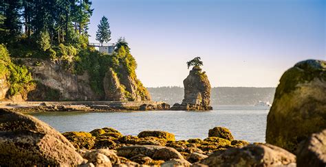 Vancouver's Stanley Park named one of the world’s most beautiful sights ...