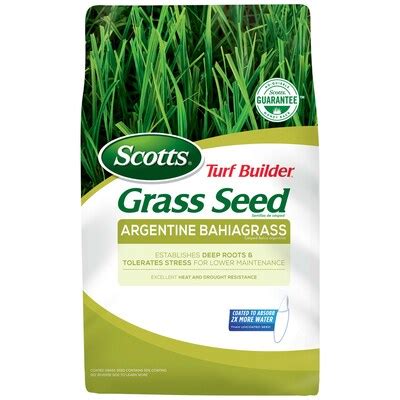 Bahia Grass Seed at Lowes.com