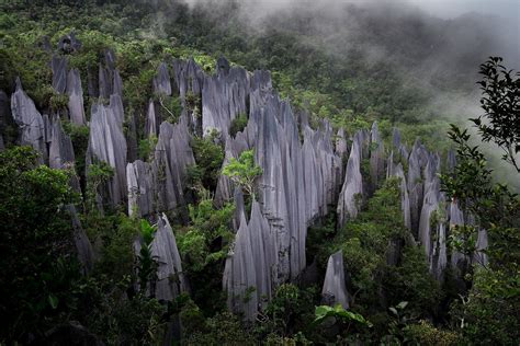 Let's Explore the Caves, Forests & Mountains of Borneo's Gunung Mulu ...