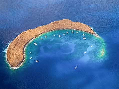 Molokini Snorkel Tour & Swim with Turtles Cruise - PacWhale Eco ...