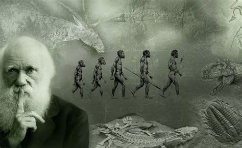 “La teoría de la evolución” de Charles Darwin cumple 157 años