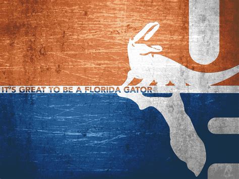 Top 999+ Florida Gators Wallpaper Full HD, 4K Free to Use