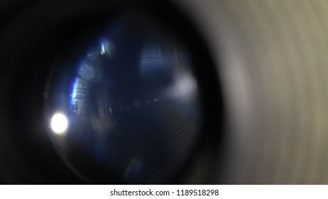 Clear Biotite Crenulation Under Petrography Microscope Stock Photo 2452848873 | Shutterstock