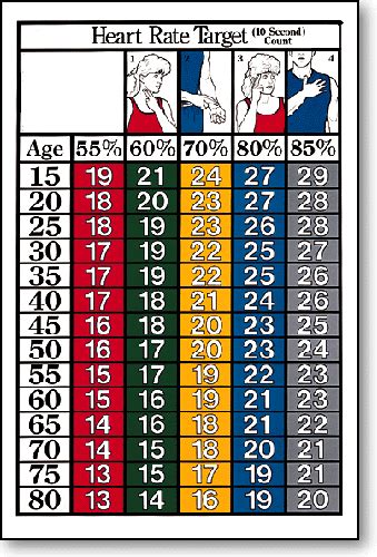 This is the chart from my old gym. so easy! | Heart rate chart, Normal heart rate, Target heart rate