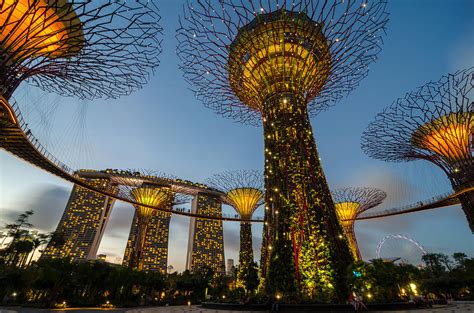 Singapore Supertrees Photograph by Andre Distel