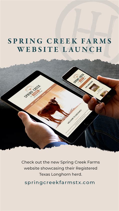 Spring Creek Farms - Branding | Farm logo, Create website, Website development