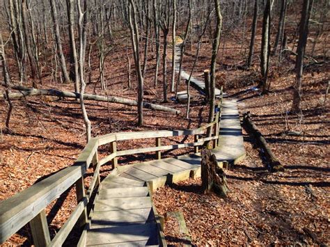 Cheesequake State Park – Yellow, Red, Green | njHiking.com